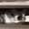 :komarucat: