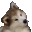:cutedog: