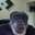 :monkey_okay: