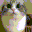:komarucat2: